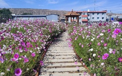 极品人妻XXXXOOOO